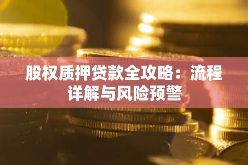 武汉股权质押贷款全攻略：流程详解与风险预警