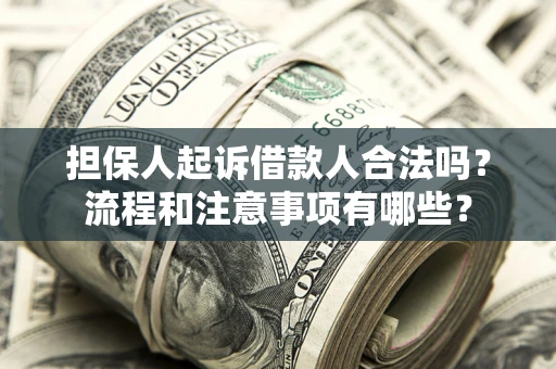 武汉担保人起诉借款人合法吗？流程和注意事项有哪些？