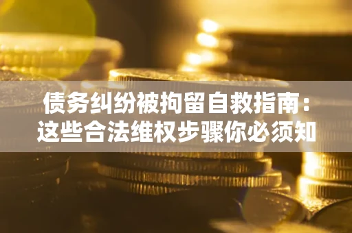 武汉债务纠纷被拘留自救指南：这些合法维权步骤你必须知道！