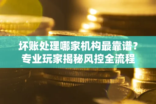 武汉坏账处理哪家机构最靠谱？专业玩家揭秘风控全流程
