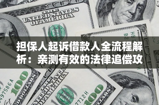 武汉担保人起诉借款人全流程解析：亲测有效的法律追偿攻略