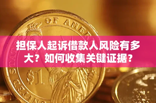 武汉担保人起诉借款人风险有多大？如何收集关键证据？