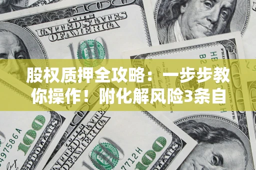 武汉股权质押全攻略：一步步教你操作！附化解风险3条自救法则