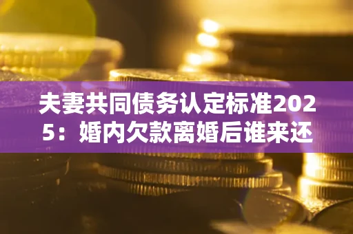 武汉夫妻共同债务认定标准2025：婚内欠款离婚后谁来还？