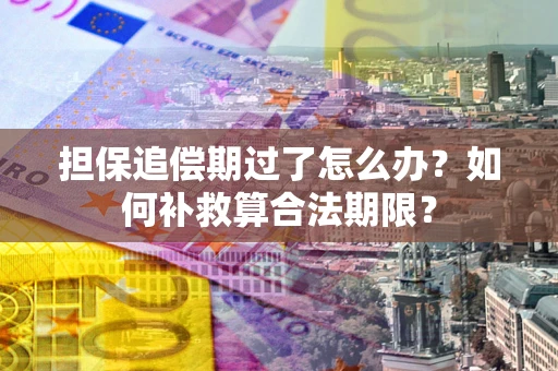 武汉担保追偿期过了怎么办？如何补救算合法期限？