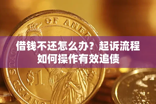 武汉借钱不还怎么办？起诉流程如何操作有效追债