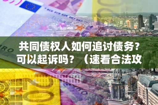 武汉共同债权人如何追讨债务？可以起诉吗？（速看合法攻略）