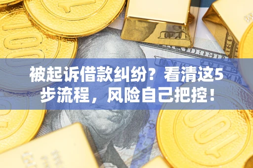 武汉被起诉借款纠纷？看清这5步流程，风险自己把控！
