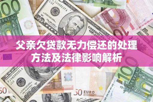 武汉父亲欠贷款无力偿还的处理方法及法律影响解析