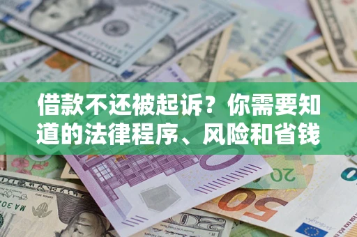 武汉借款不还被起诉？你需要知道的法律程序、风险和省钱技巧